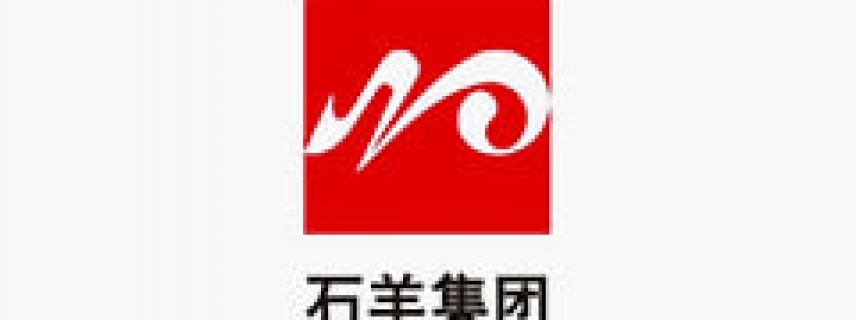 陜西石羊集團：企業金融管理創新模式