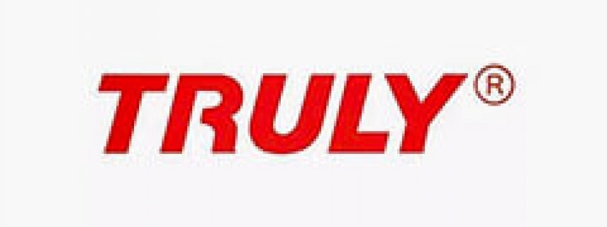 信利半導體：大規模定制創新模式