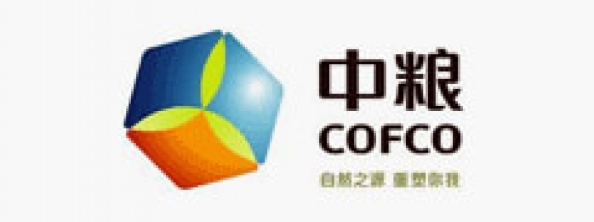 中糧集團：領導力驅動變革的三維領導力模式