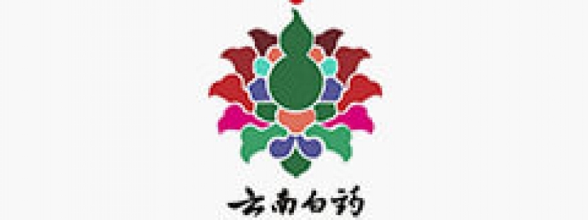 云南白藥集團：“創(chuàng)新不離宗，融入互聯(lián)網(wǎng)”轉(zhuǎn)型實踐